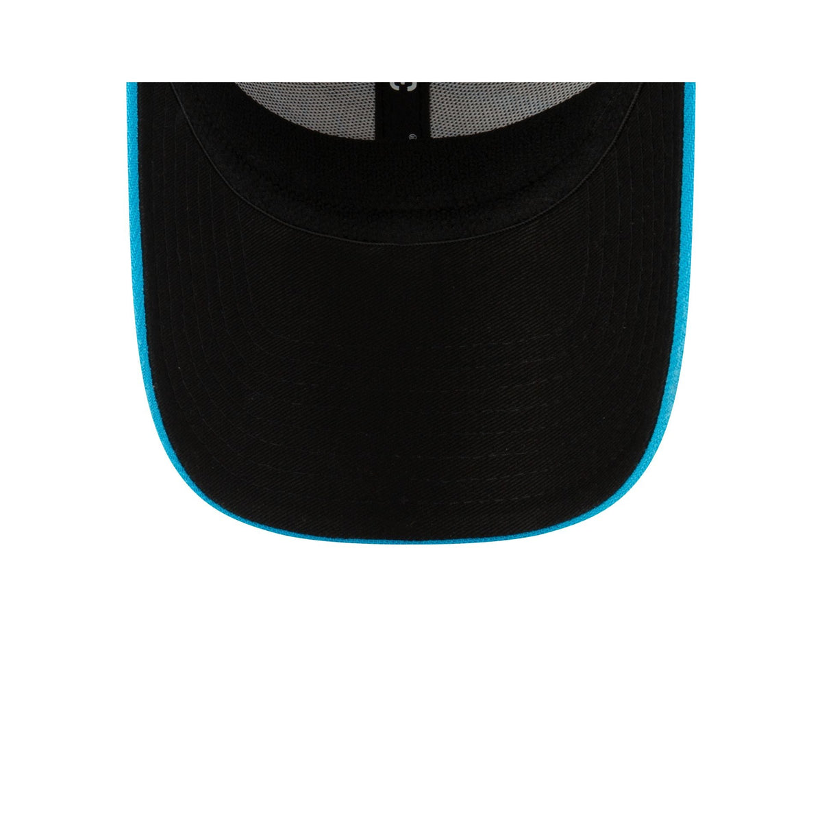 Carolina Panthers Team Classic Two Tone 39THIRTY Stretch Fit Hat