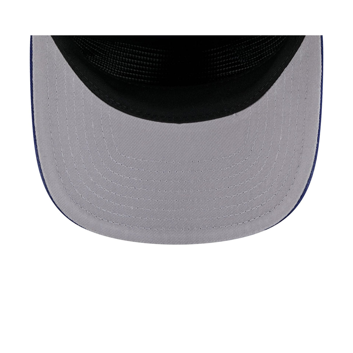Los Angeles Dodgers Arched Graphic 19TWENTY Snapback Hat