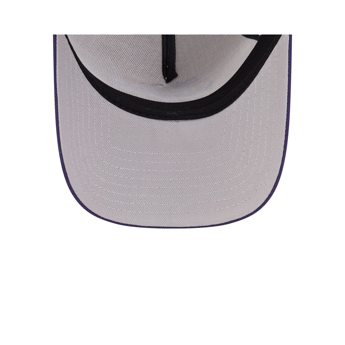 Toronto Raptors Hardwood Classics Retro Stone 9FORTY A-Frame Snapback Hat