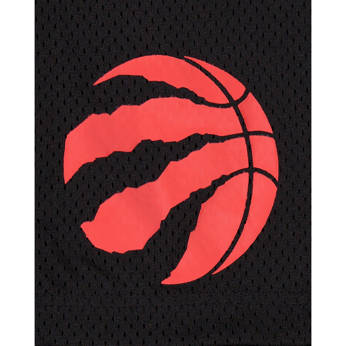 Toronto Raptors Mesh Shorts
