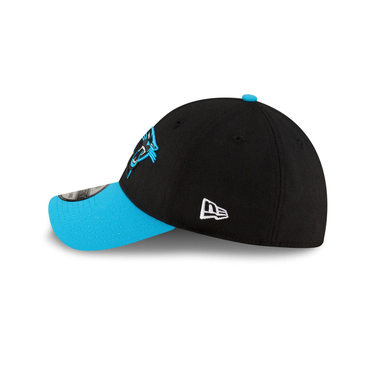 Carolina Panthers Team Classic Two Tone 39THIRTY Stretch Fit Hat
