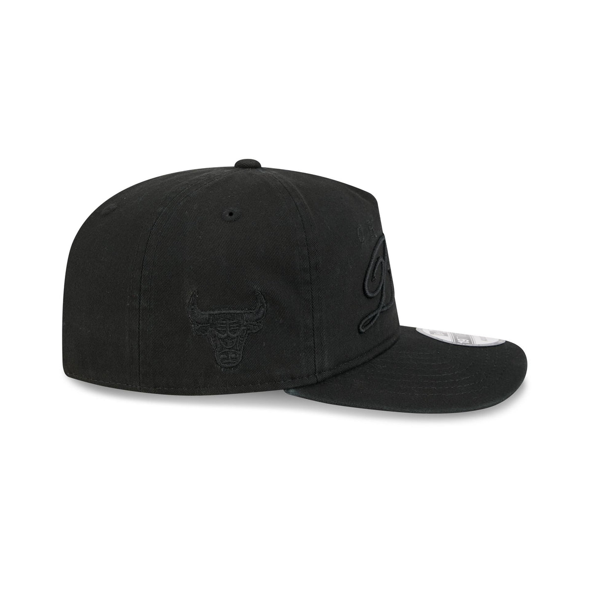 Chicago Bulls All Black Scripted 19TWENTY Adjustable Hat