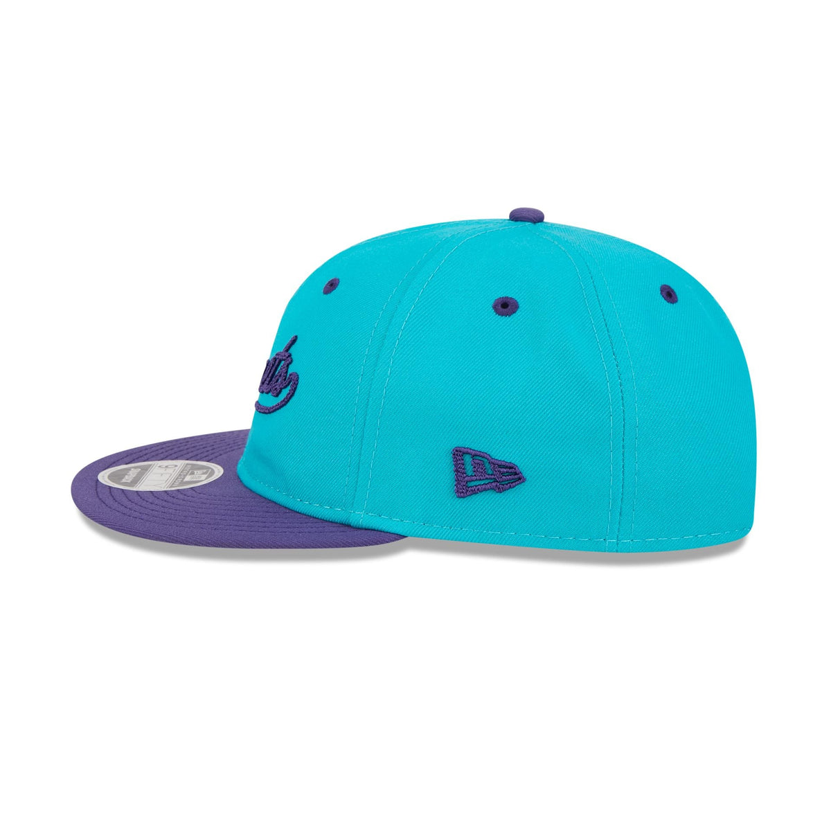 Charlotte Hornets Chainstitch Script Retro Crown 9FIFTY Snapback Hat