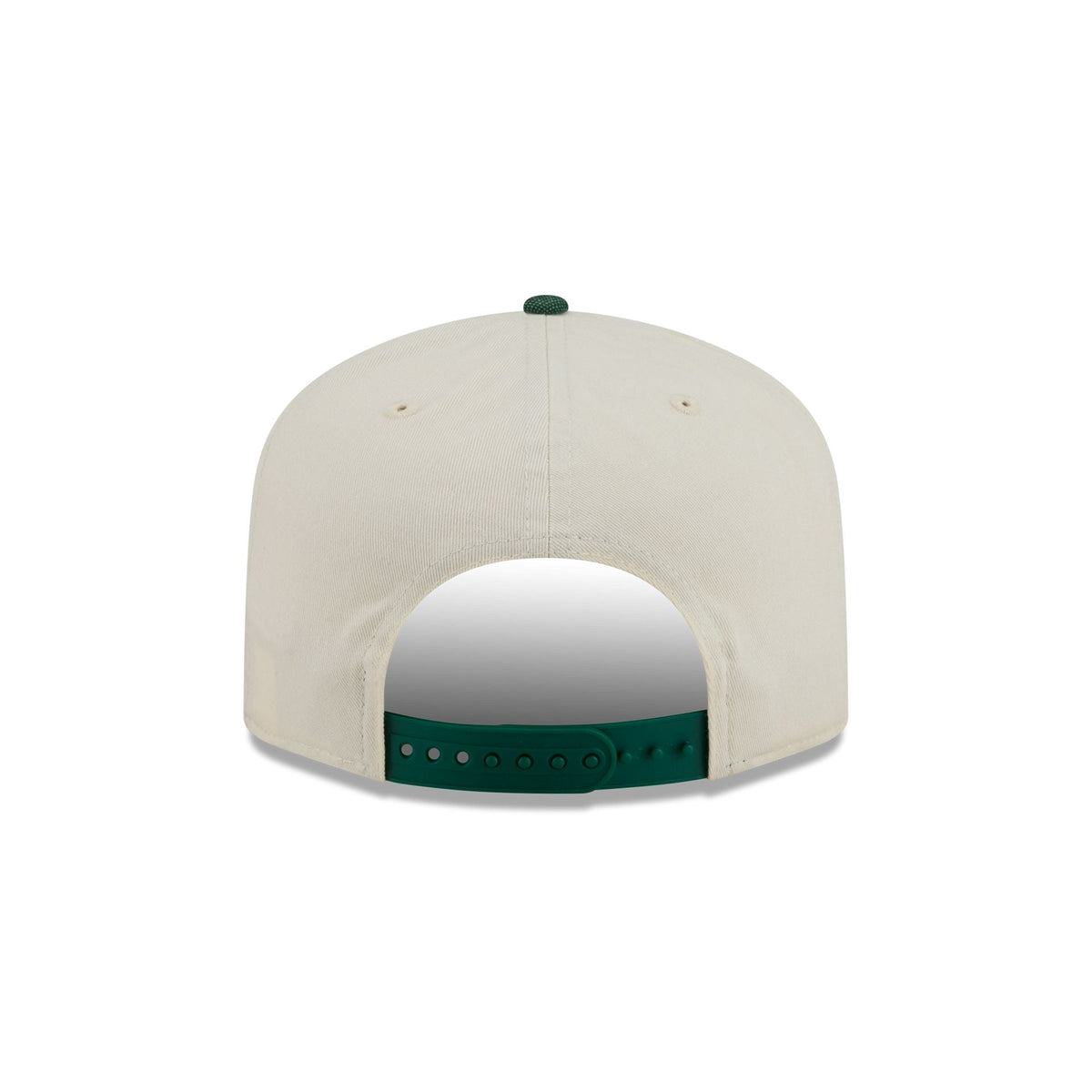 Boston Celtics Hardwood Classics Past Glory 19TWENTY Adjustable Hat