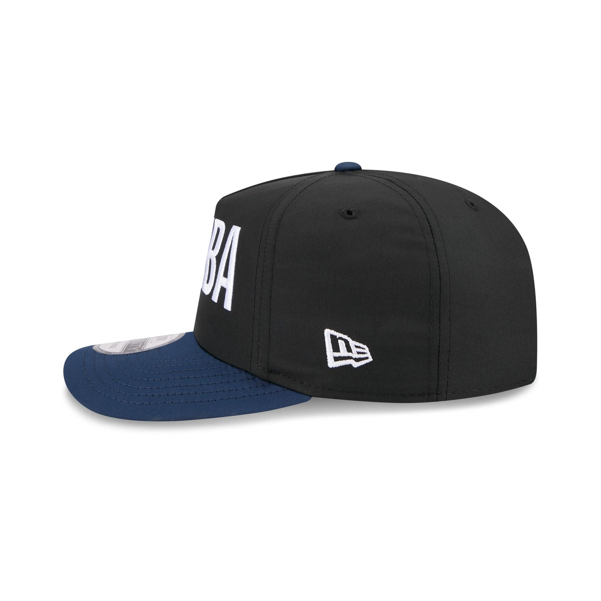 Minnesota Timberwolves Team Logo 19TWENTY Adjustable Hat