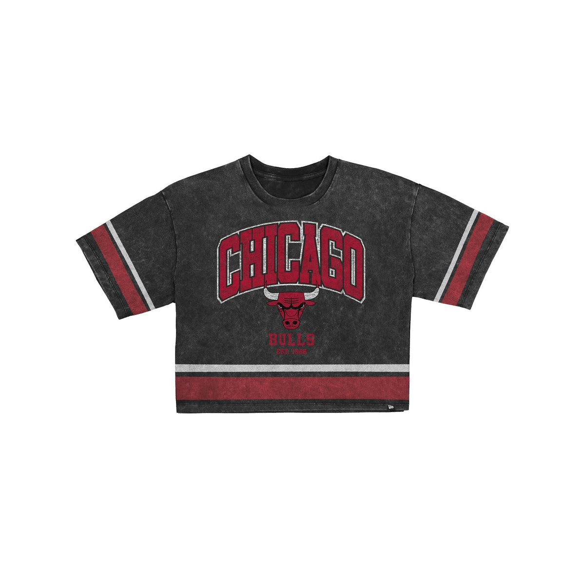 Chicago Bulls Women's Vintage Stripe Cropped T-Shirt