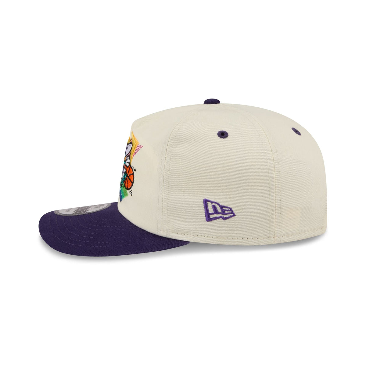 Charlotte Hornets Hardwood Classics Retro Chrome 19TWENTY Adjustable Hat
