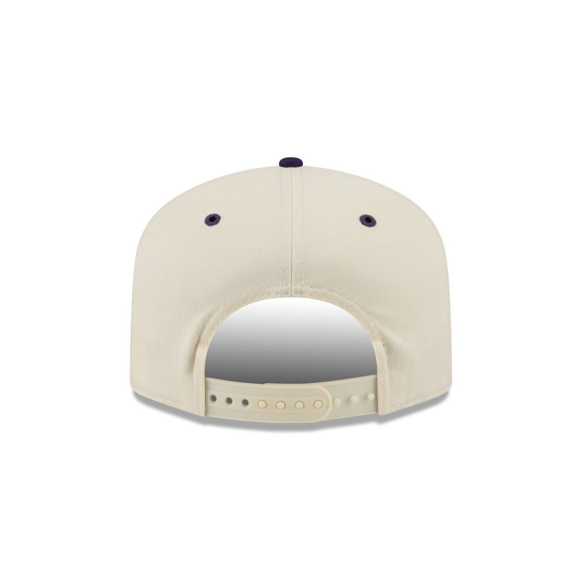 Charlotte Hornets Hardwood Classics Retro Chrome 19TWENTY Adjustable Hat