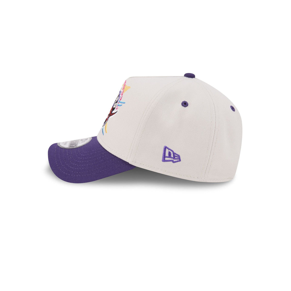 Toronto Raptors Hardwood Classics Retro Stone 9FORTY A-Frame Snapback Hat