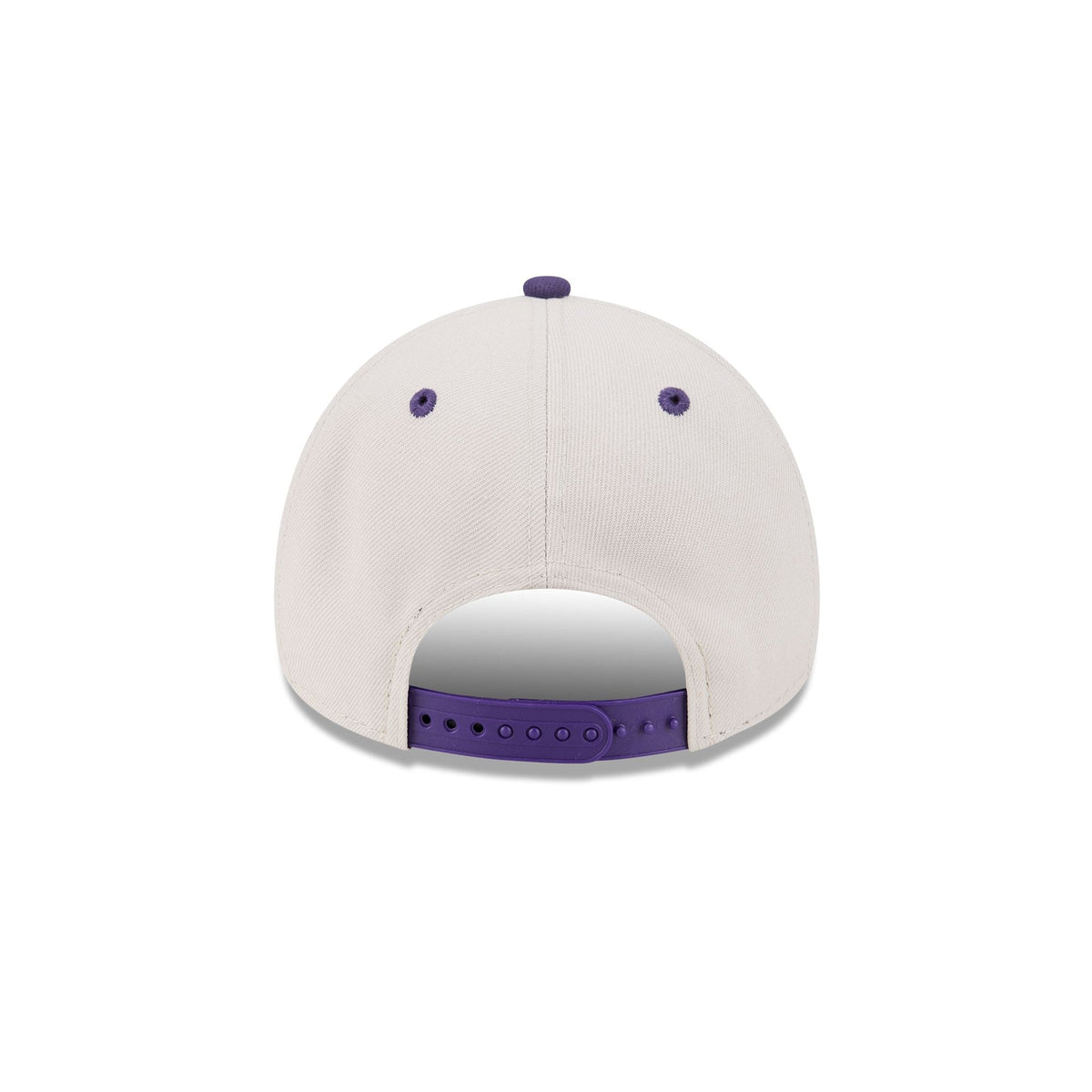 Toronto Raptors Hardwood Classics Retro Stone 9FORTY A-Frame Snapback Hat