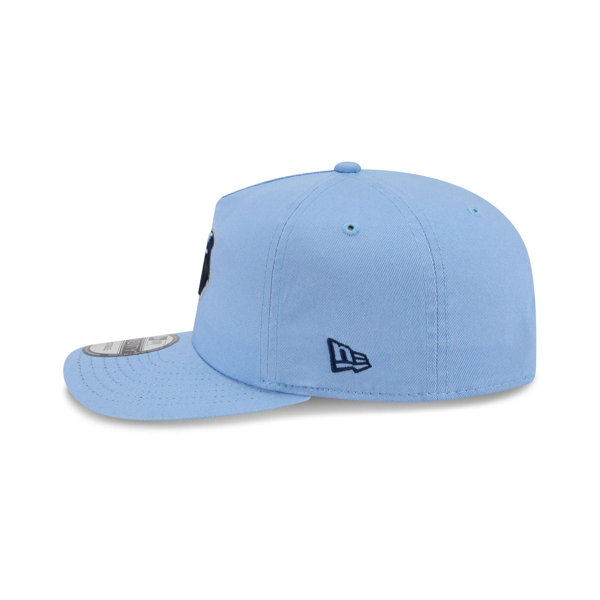 Memphis Grizzlies Team 19TWENTY Snapback Hat