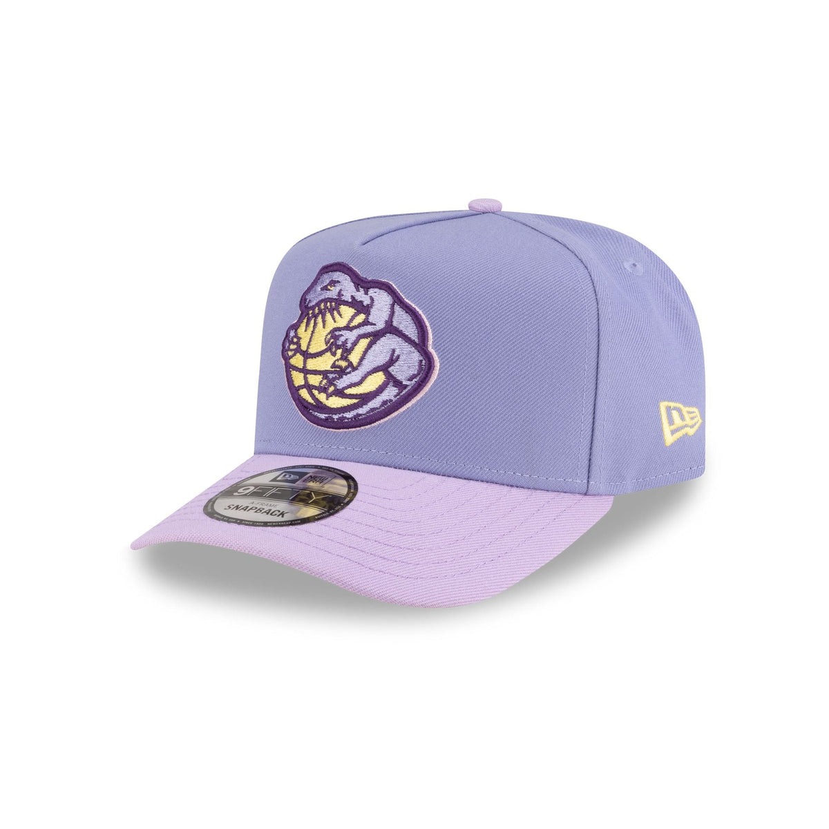 Toronto Raptors Hardwood Classics Lavender Purple 9FIFTY A-Frame Snapback Hat