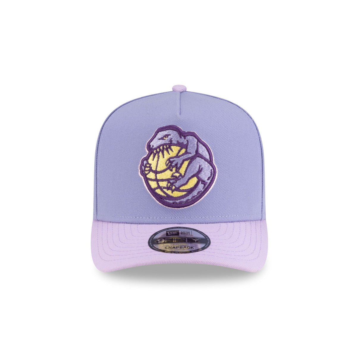 Toronto Raptors Hardwood Classics Lavender Purple 9FIFTY A-Frame Snapback Hat