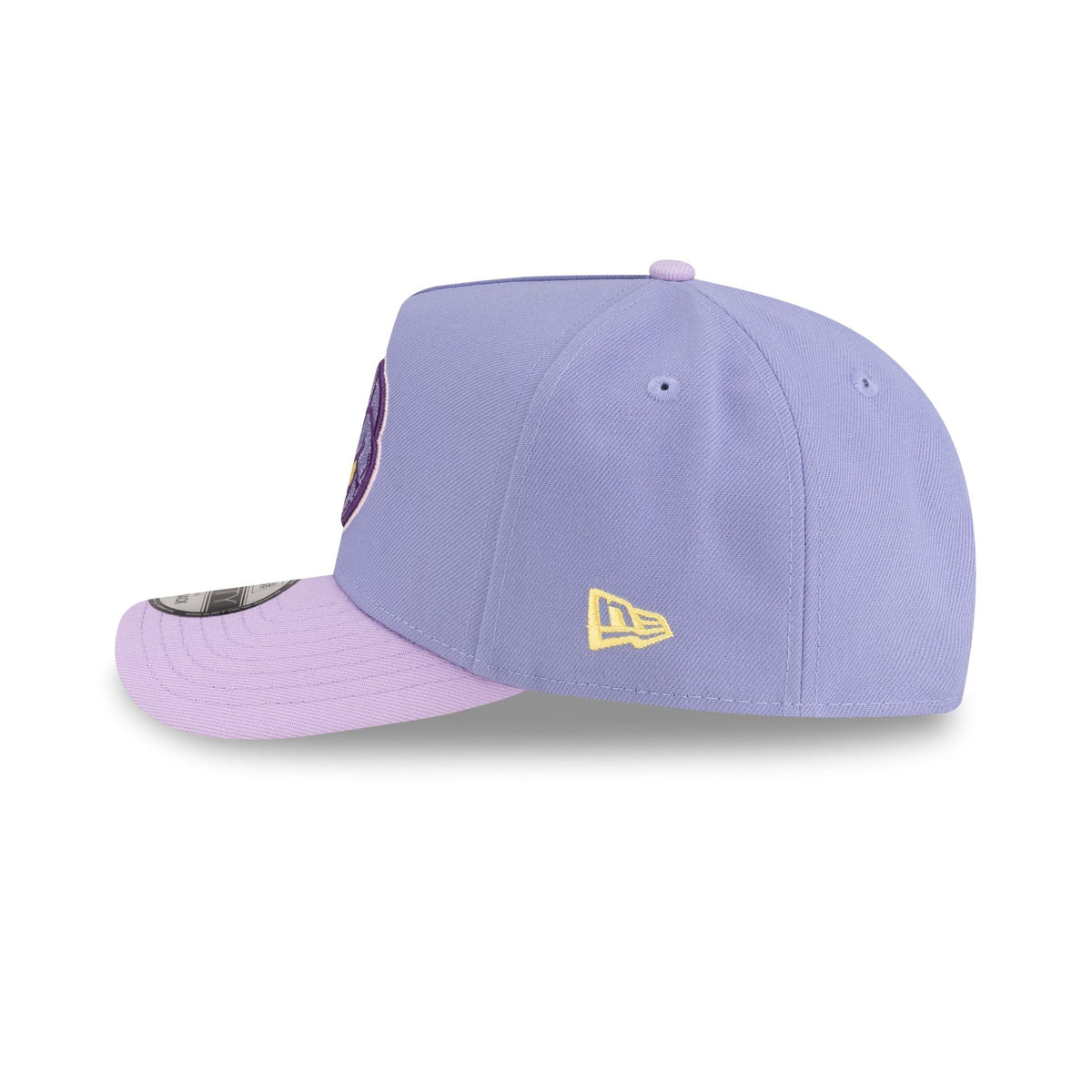 Toronto Raptors Hardwood Classics Lavender Purple 9FIFTY A-Frame Snapback Hat