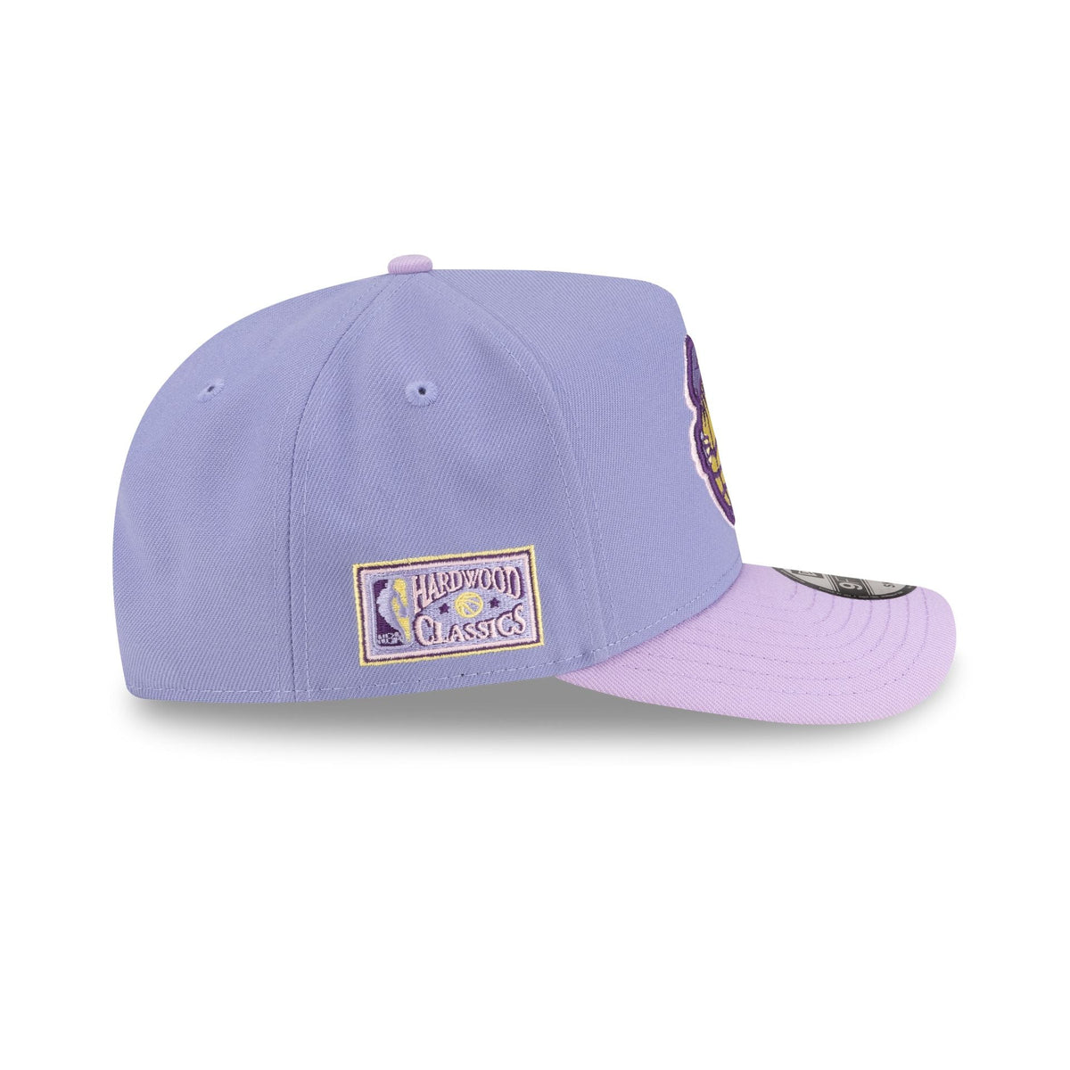 Toronto Raptors Hardwood Classics Lavender Purple 9FIFTY A-Frame Snapback Hat