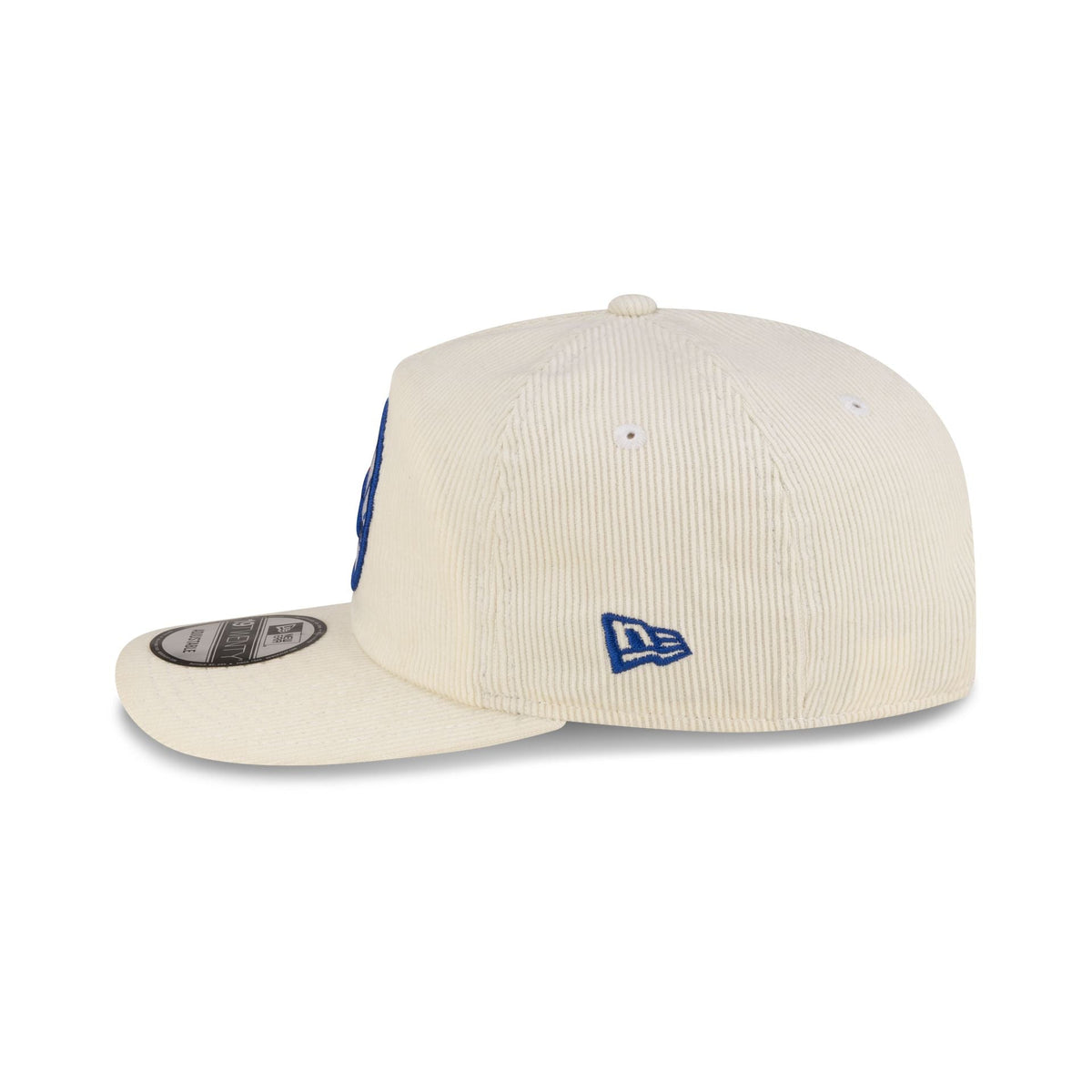 Philadelphia 76ers Hardwood Classics 80s Chrome Corduroy 19TWENTY Adjustable