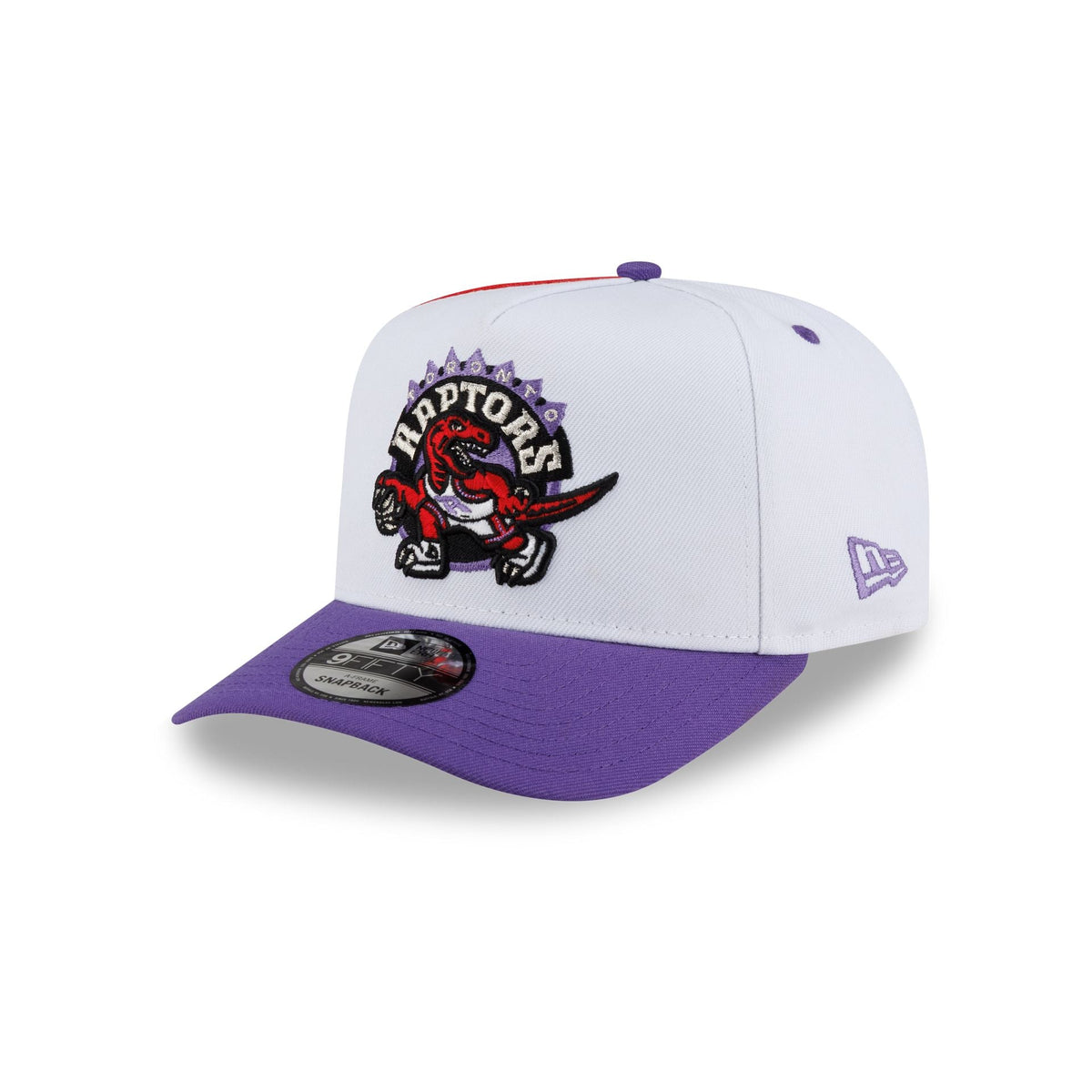Toronto Raptors Hardwood Classics 90s Panel 9FIFTY A-Frame Snapback Hat