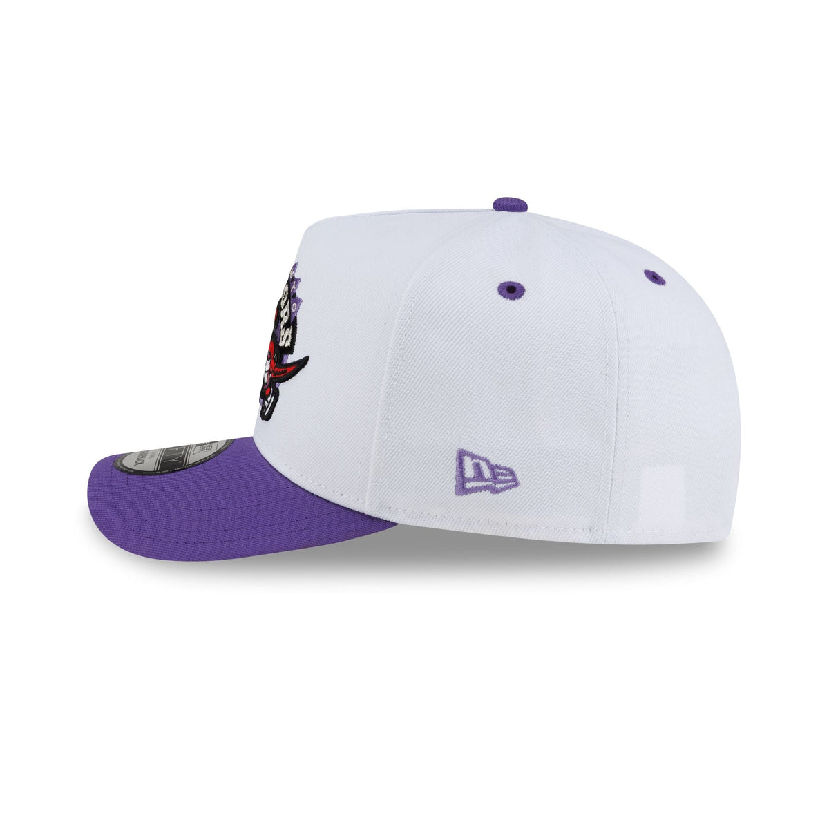 Toronto Raptors Hardwood Classics 90s Panel 9FIFTY A-Frame Snapback Hat
