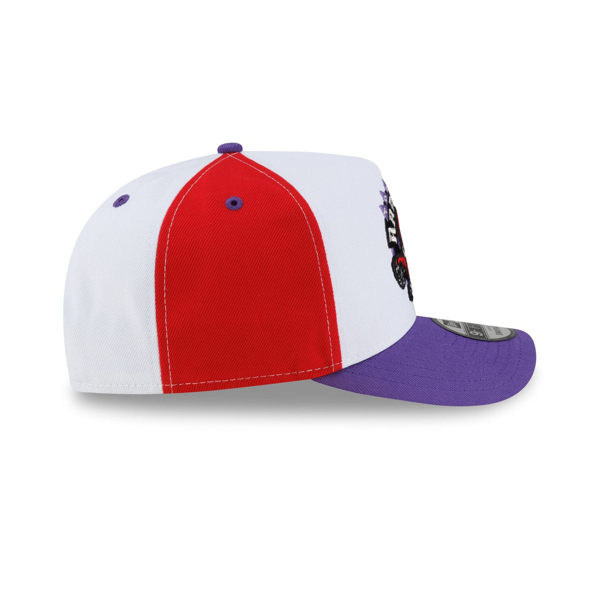 Toronto Raptors Hardwood Classics 90s Panel 9FIFTY A-Frame Snapback Hat
