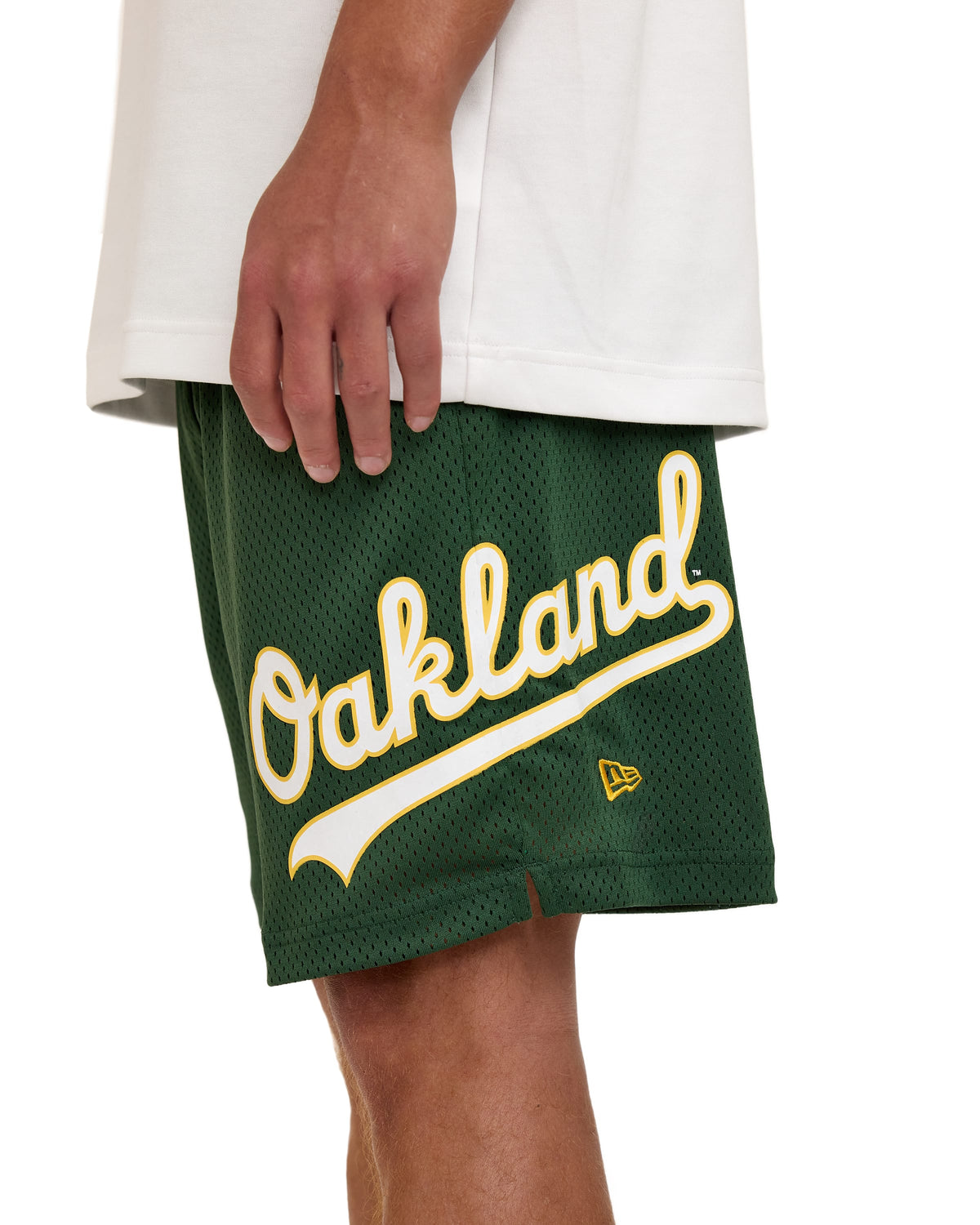 Houston Astros Summer Shorts